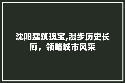 沈阳建筑瑰宝,漫步历史长廊，领略城市风采