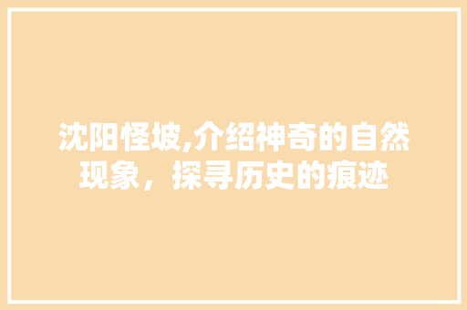 沈阳怪坡,介绍神奇的自然现象，探寻历史的痕迹