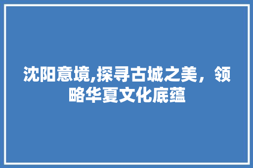 沈阳意境,探寻古城之美，领略华夏文化底蕴