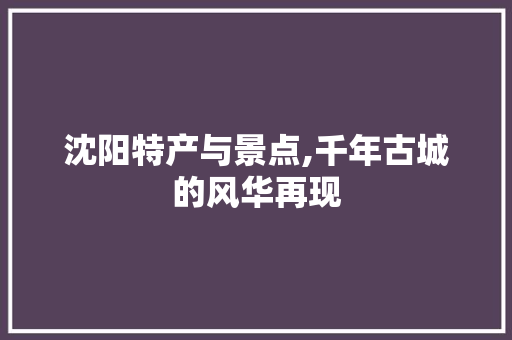 沈阳特产与景点,千年古城的风华再现