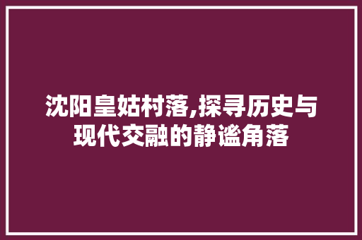 沈阳皇姑村落,探寻历史与现代交融的静谧角落