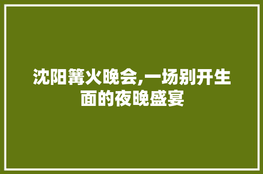 沈阳篝火晚会,一场别开生面的夜晚盛宴