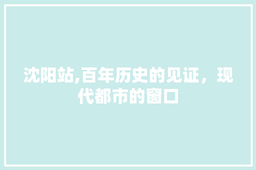 沈阳站,百年历史的见证，现代都市的窗口