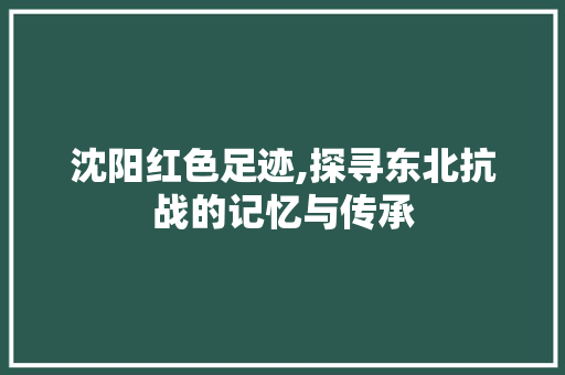 沈阳红色足迹,探寻东北抗战的记忆与传承