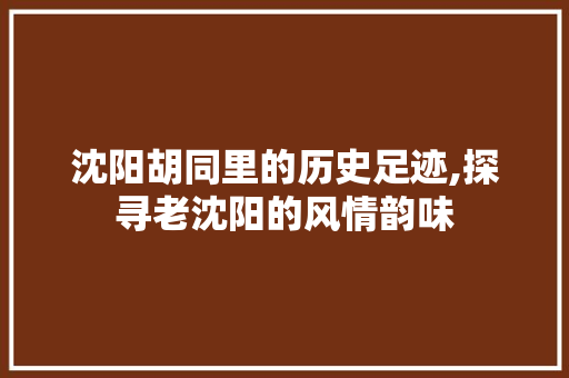 沈阳胡同里的历史足迹,探寻老沈阳的风情韵味  第1张