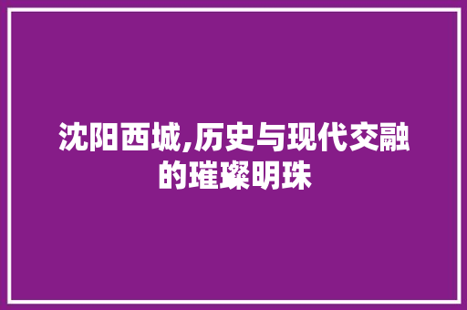 沈阳西城,历史与现代交融的璀璨明珠  第1张