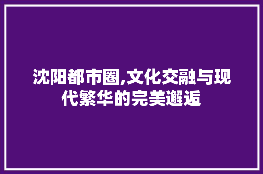 沈阳都市圈,文化交融与现代繁华的完美邂逅  第1张