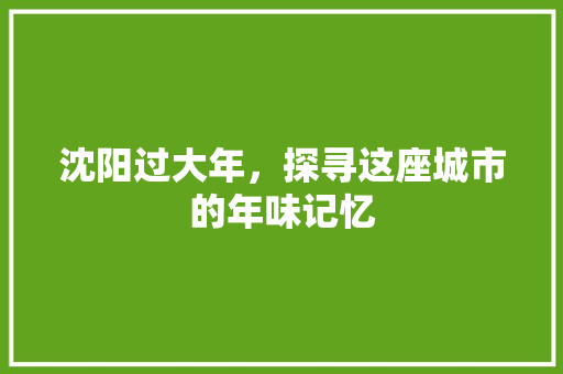 沈阳过大年，探寻这座城市的年味记忆  第1张