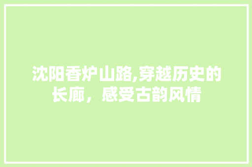 沈阳香炉山路,穿越历史的长廊，感受古韵风情  第1张