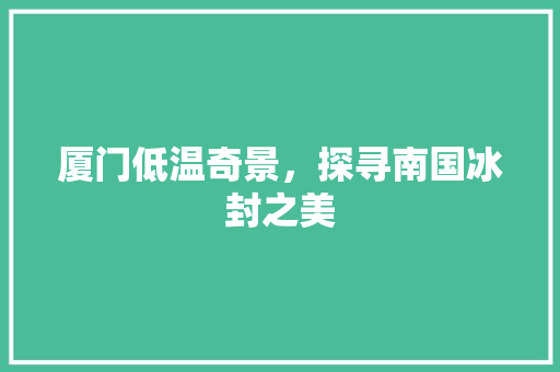 厦门低温奇景，探寻南国冰封之美  第1张