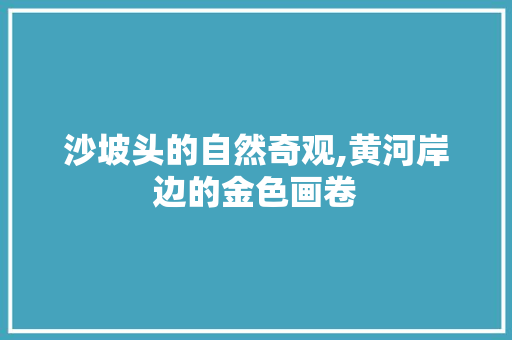 沙坡头的自然奇观,黄河岸边的金色画卷  第1张