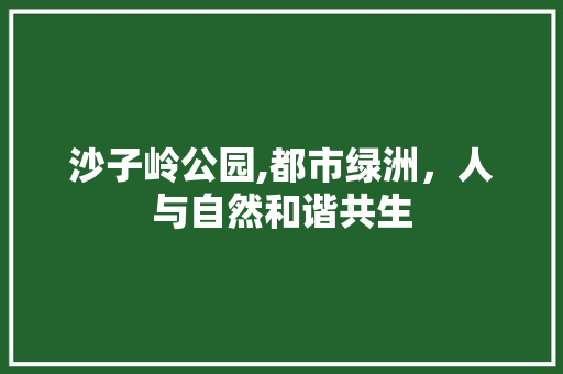 沙子岭公园,都市绿洲，人与自然和谐共生  第1张