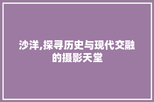 沙洋,探寻历史与现代交融的摄影天堂  第1张