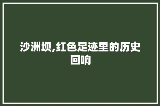 沙洲坝,红色足迹里的历史回响  第1张