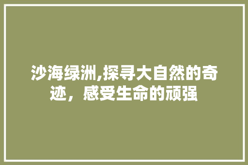 沙海绿洲,探寻大自然的奇迹，感受生命的顽强