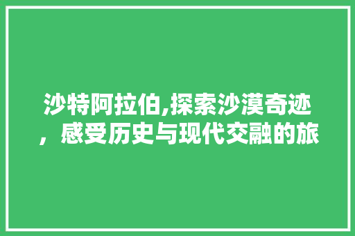 沙特阿拉伯,探索沙漠奇迹，感受历史与现代交融的旅游胜地