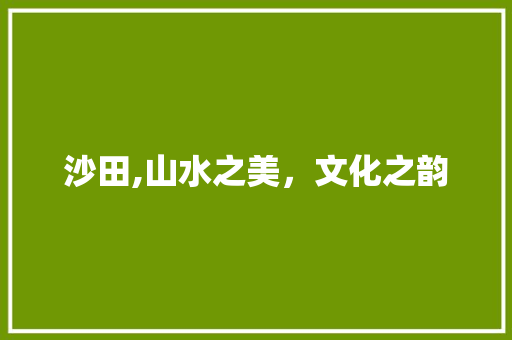 沙田,山水之美，文化之韵