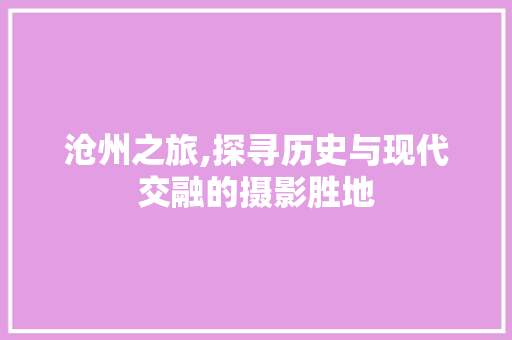 沧州之旅,探寻历史与现代交融的摄影胜地