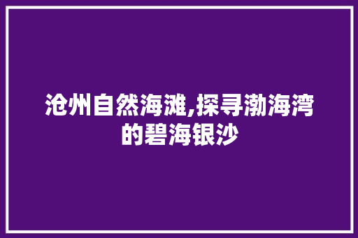 沧州自然海滩,探寻渤海湾的碧海银沙