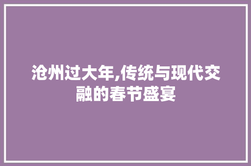 沧州过大年,传统与现代交融的春节盛宴