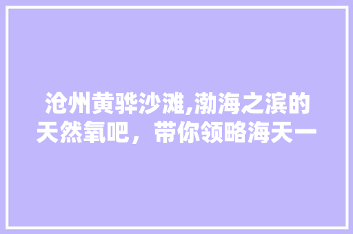 沧州黄骅沙滩,渤海之滨的天然氧吧，带你领略海天一色的壮美风光  第1张