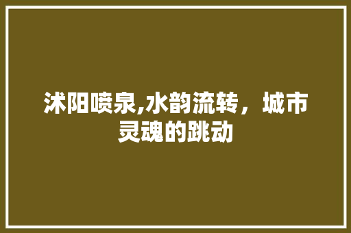 沭阳喷泉,水韵流转，城市灵魂的跳动  第1张