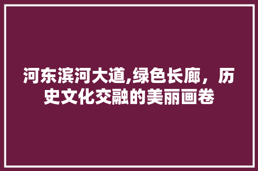 河东滨河大道,绿色长廊，历史文化交融的美丽画卷