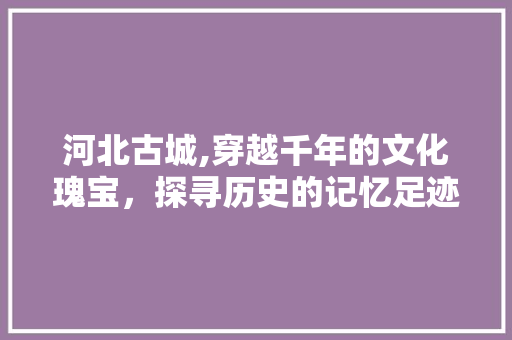 河北古城,穿越千年的文化瑰宝，探寻历史的记忆足迹