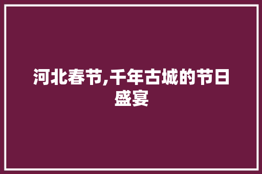 河北春节,千年古城的节日盛宴