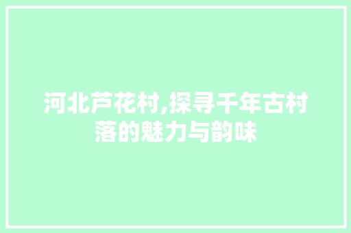 河北芦花村,探寻千年古村落的魅力与韵味