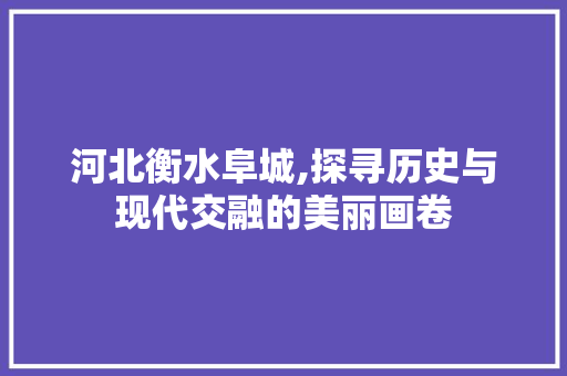 河北衡水阜城,探寻历史与现代交融的美丽画卷