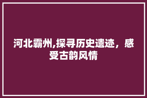 河北霸州,探寻历史遗迹，感受古韵风情  第1张