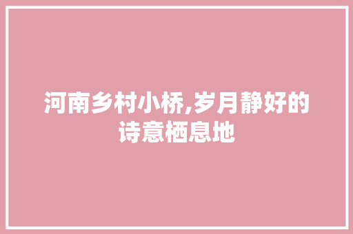 河南乡村小桥,岁月静好的诗意栖息地