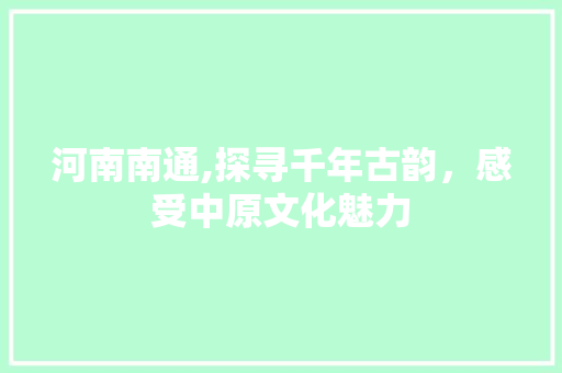 河南南通,探寻千年古韵，感受中原文化魅力