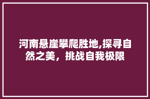 河南悬崖攀爬胜地,探寻自然之美，挑战自我极限  第1张