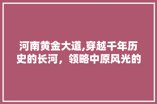 河南黄金大道,穿越千年历史的长河，领略中原风光的壮美  第1张