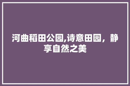 河曲稻田公园,诗意田园，静享自然之美  第1张