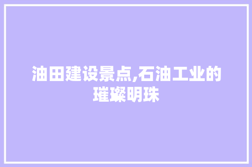 油田建设景点,石油工业的璀璨明珠  第1张