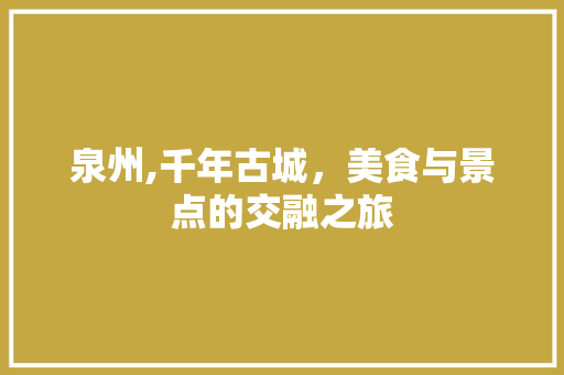 泉州,千年古城，美食与景点的交融之旅  第1张