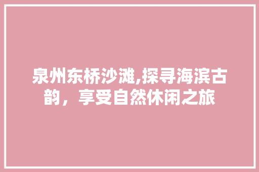 泉州东桥沙滩,探寻海滨古韵，享受自然休闲之旅  第1张