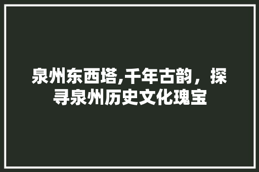 泉州东西塔,千年古韵，探寻泉州历史文化瑰宝  第1张