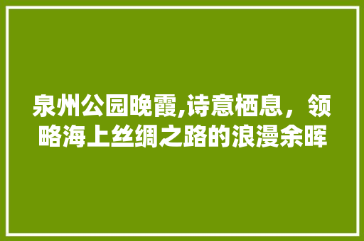 泉州公园晚霞,诗意栖息，领略海上丝绸之路的浪漫余晖  第1张