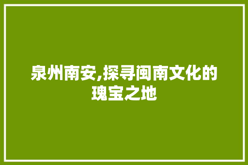 泉州南安,探寻闽南文化的瑰宝之地  第1张