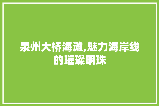 泉州大桥海滩,魅力海岸线的璀璨明珠  第1张