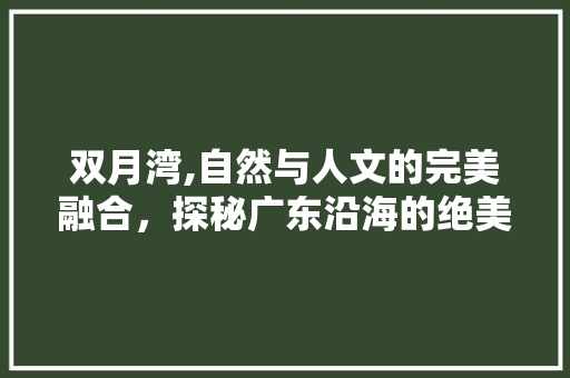 双月湾,自然与人文的完美融合，探秘广东沿海的绝美风光