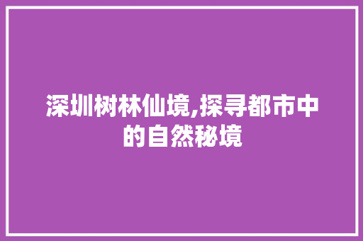 深圳树林仙境,探寻都市中的自然秘境