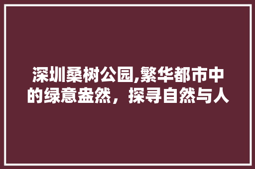 深圳桑树公园,繁华都市中的绿意盎然，探寻自然与人文的交融之美