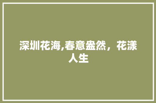 深圳花海,春意盎然，花漾人生  第1张