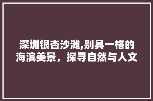 深圳银杏沙滩,别具一格的海滨美景，探寻自然与人文的完美交融