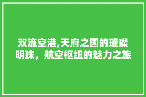 双流空港,天府之国的璀璨明珠，航空枢纽的魅力之旅